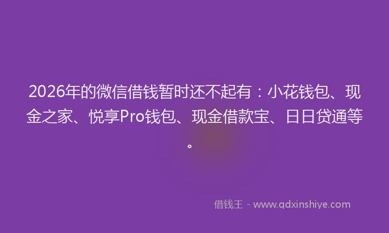 2026年的微信借钱暂时还不起有：小花钱包、现金之家、悦享Pro钱包、现金借款宝、日日贷通等。