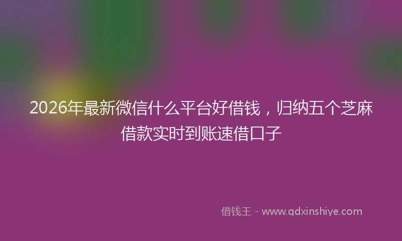 2026年最新微信什么平台好借钱，归纳五个芝麻借款实时到账速借口子