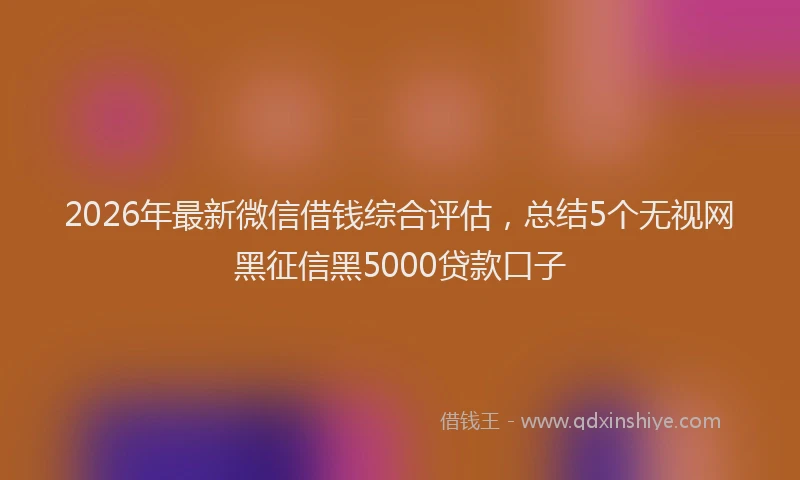 2026年最新微信借钱综合评估，总结5个无视网黑征信黑5000贷款口子