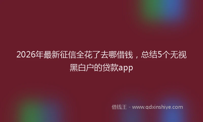 2026年最新征信全花了去哪借钱，总结5个无视黑白户的贷款app