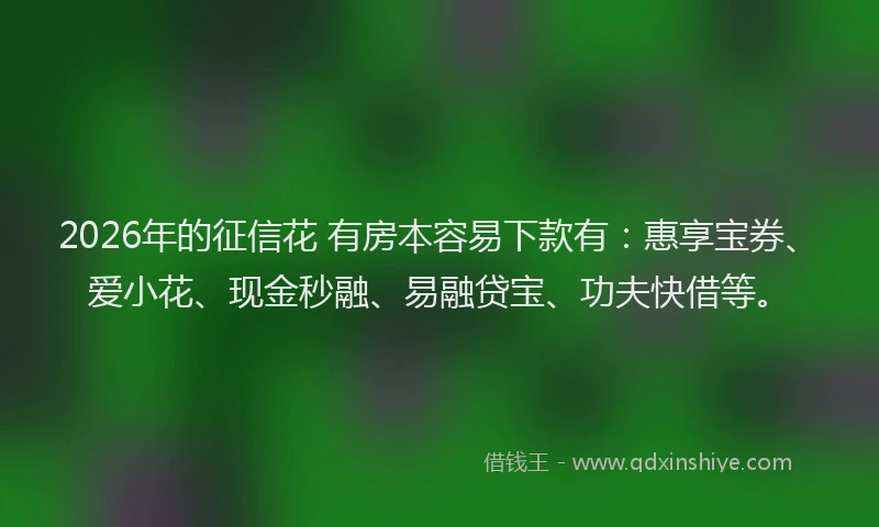 2026年的征信花 有房本容易下款有：惠享宝券、爱小花、现金秒融、易融贷宝、功夫快借等。