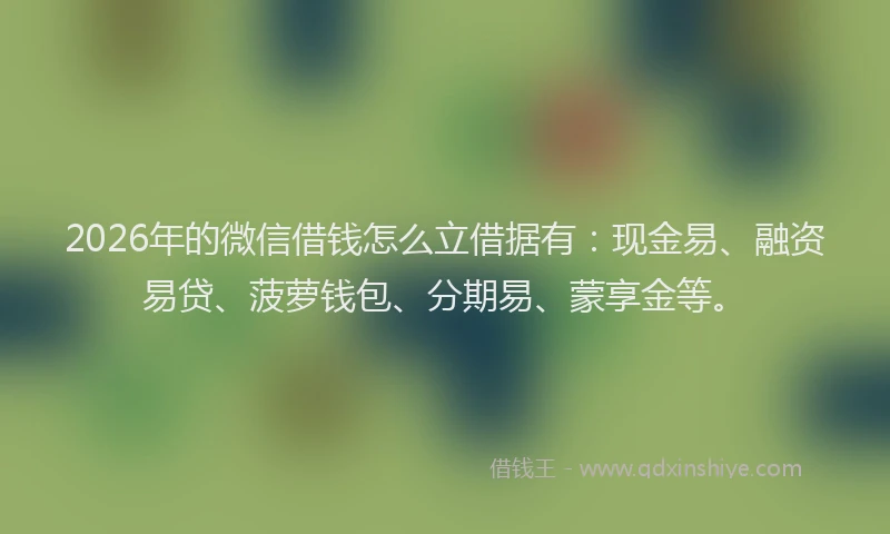 2026年的微信借钱怎么立借据有：现金易、融资易贷、菠萝钱包、分期易、蒙享金等。