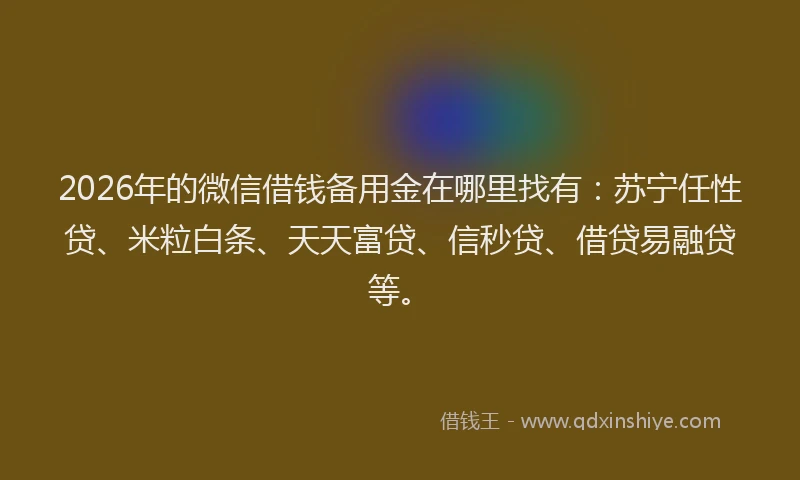 2026年的微信借钱备用金在哪里找有：苏宁任性贷、米粒白条、天天富贷、信秒贷、借贷易融贷等。