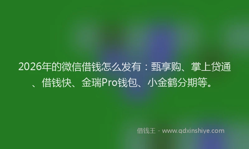 2026年的微信借钱怎么发有：甄享购、掌上贷通、借钱快、金瑞Pro钱包、小金鹤分期等。