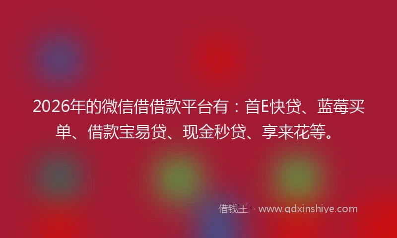 2026年的微信借借款平台有：首E快贷、蓝莓买单、借款宝易贷、现金秒贷、享来花等。