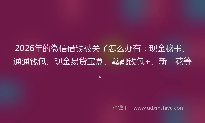 2026年的微信借钱被关了怎么办有：现金秘书、通通钱包、现金易贷宝盒、鑫融钱包+、新一花等。