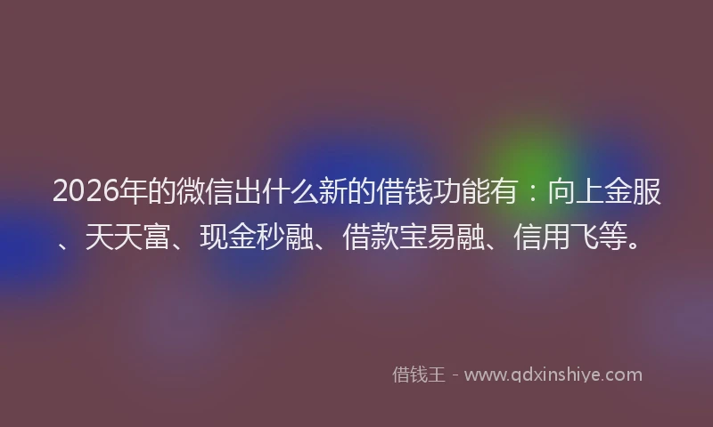 2026年的微信出什么新的借钱功能有：向上金服、天天富、现金秒融、借款宝易融、信用飞等。