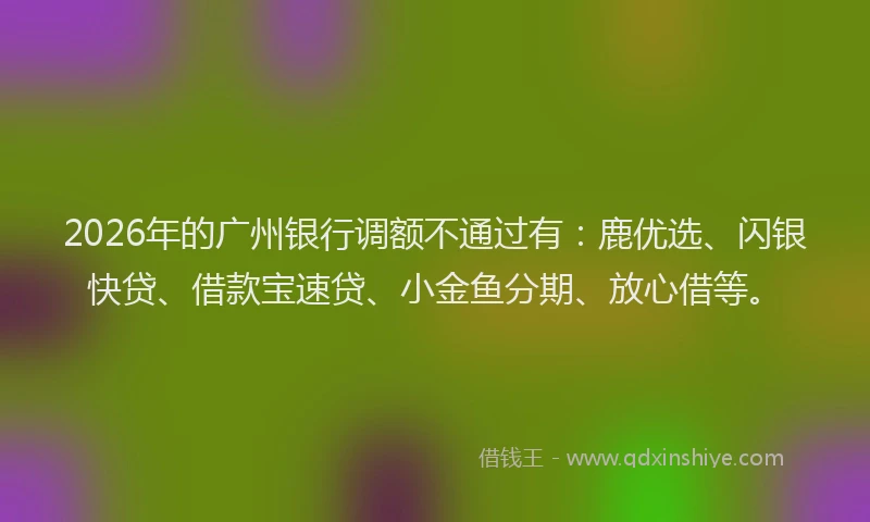 2026年的广州银行调额不通过有：鹿优选、闪银快贷、借款宝速贷、小金鱼分期、放心借等。