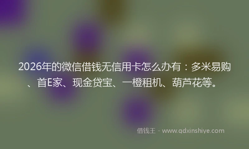 2026年的微信借钱无信用卡怎么办有：多米易购、首E家、现金贷宝、一橙租机、葫芦花等。