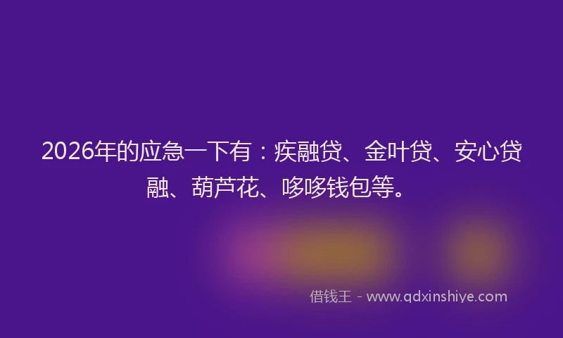 2026年的应急一下有：疾融贷、金叶贷、安心贷融、葫芦花、哆哆钱包等。