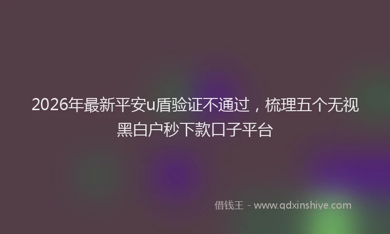 2026年最新平安u盾验证不通过，梳理五个无视黑白户秒下款口子平台
