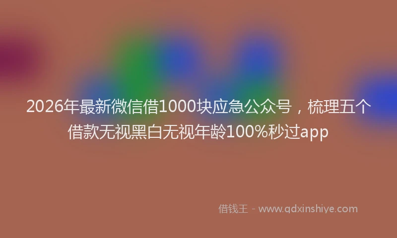 2026年最新微信借1000块应急公众号，梳理五个借款无视黑白无视年龄100%秒过app