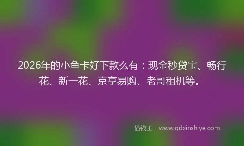 2026年的小鱼卡好下款么有：现金秒贷宝、畅行花、新一花、京享易购、老哥租机等。