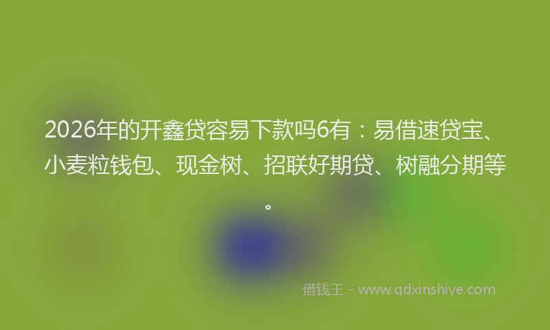 2026年的开鑫贷容易下款吗6有：易借速贷宝、小麦粒钱包、现金树、招联好期贷、树融分期等。