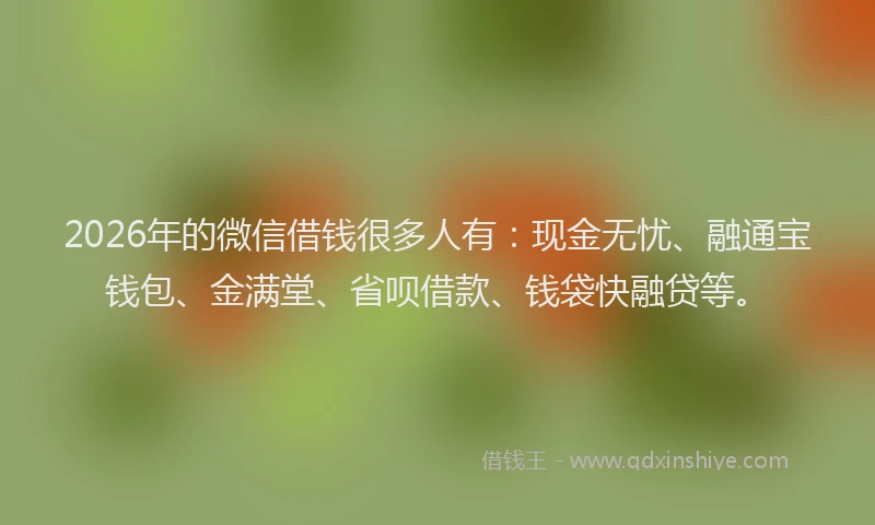 2026年的微信借钱很多人有：现金无忧、融通宝钱包、金满堂、省呗借款、钱袋快融贷等。