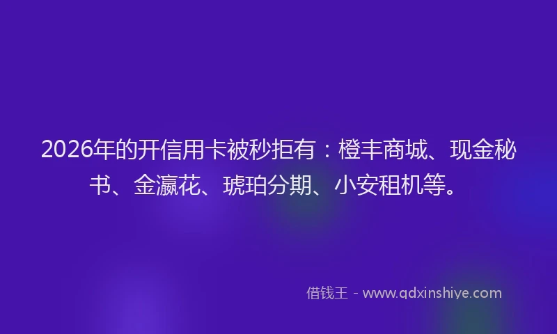 2026年的开信用卡被秒拒有：橙丰商城、现金秘书、金瀛花、琥珀分期、小安租机等。