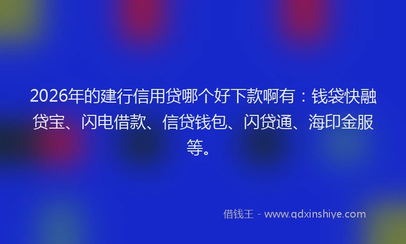 2026年的建行信用贷哪个好下款啊有：钱袋快融贷宝、闪电借款、信贷钱包、闪贷通、海印金服等。