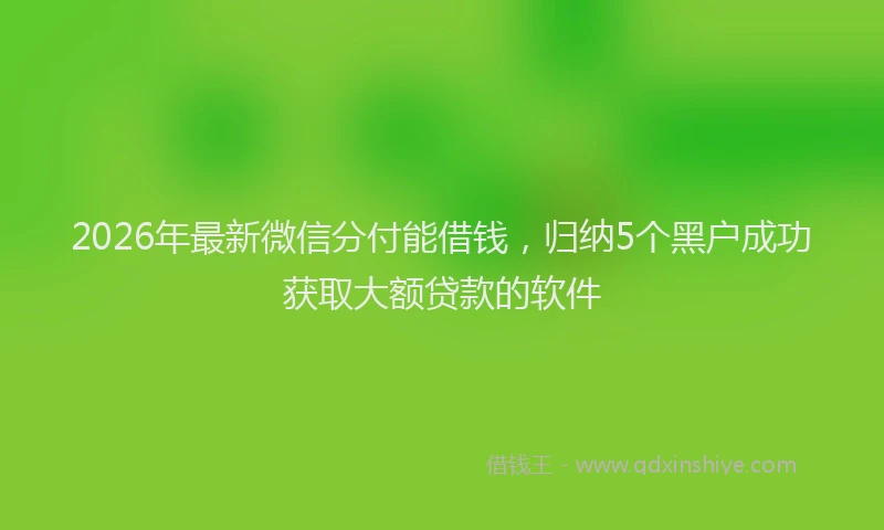 2026年最新微信分付能借钱，归纳5个黑户成功获取大额贷款的软件