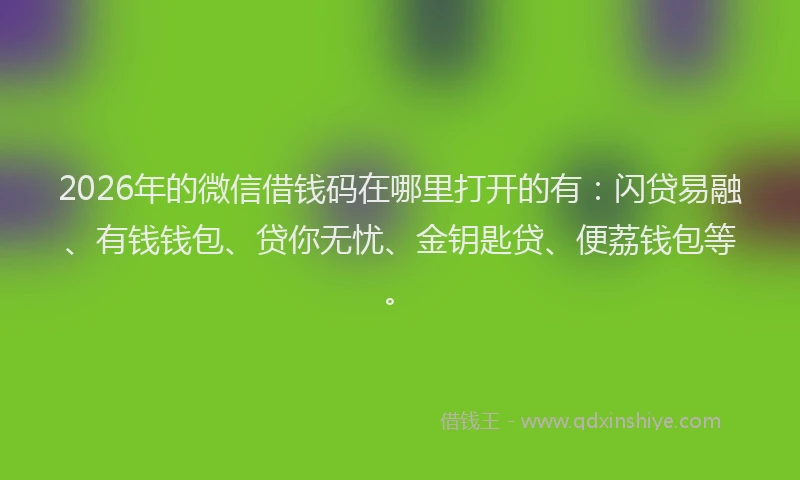 2026年的微信借钱码在哪里打开的有：闪贷易融、有钱钱包、贷你无忧、金钥匙贷、便荔钱包等。