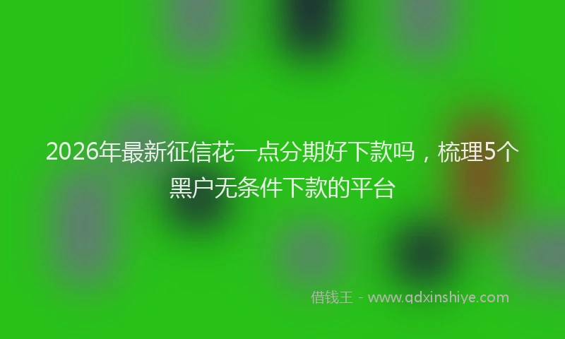 2026年最新征信花一点分期好下款吗，梳理5个黑户无条件下款的平台