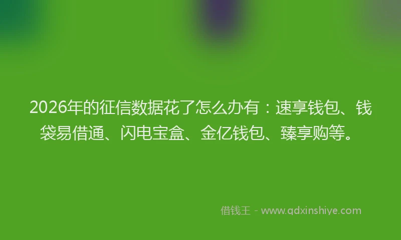 2026年的征信数据花了怎么办有：速享钱包、钱袋易借通、闪电宝盒、金亿钱包、臻享购等。
