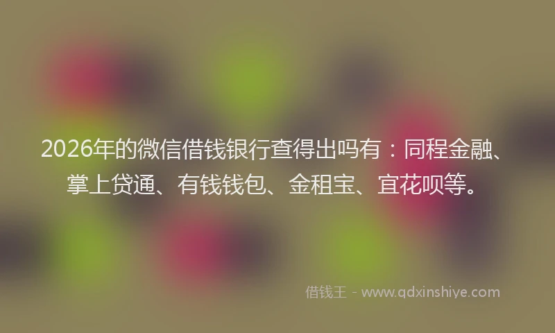 2026年的微信借钱银行查得出吗有：同程金融、掌上贷通、有钱钱包、金租宝、宜花呗等。