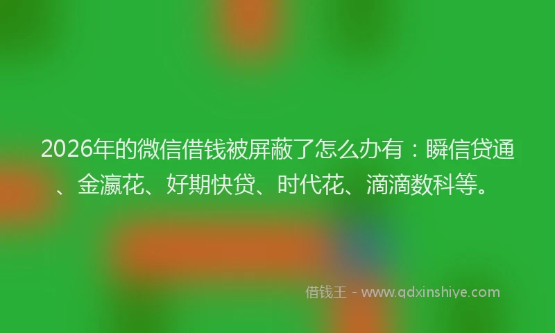 2026年的微信借钱被屏蔽了怎么办有：瞬信贷通、金瀛花、好期快贷、时代花、滴滴数科等。