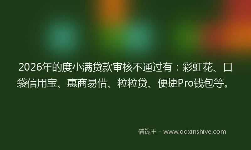 2026年的度小满贷款审核不通过有：彩虹花、口袋信用宝、惠商易借、粒粒贷、便捷Pro钱包等。