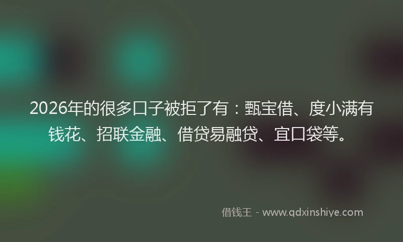 2026年的很多口子被拒了有：甄宝借、度小满有钱花、招联金融、借贷易融贷、宜口袋等。