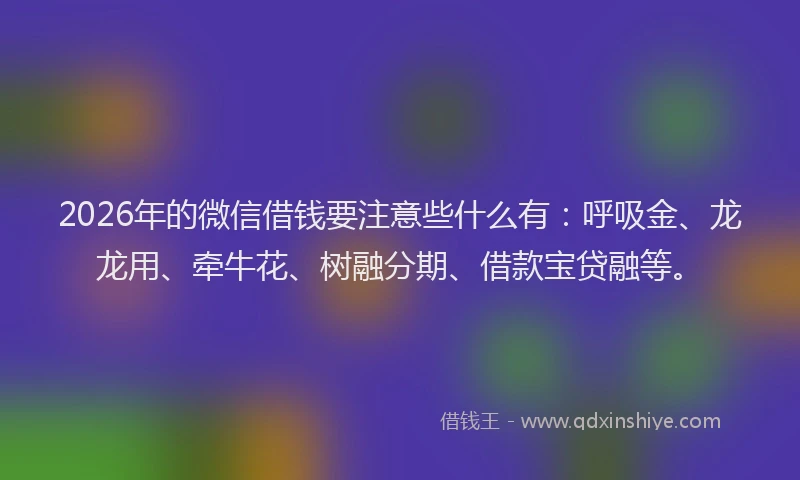 2026年的微信借钱要注意些什么有：呼吸金、龙龙用、牵牛花、树融分期、借款宝贷融等。