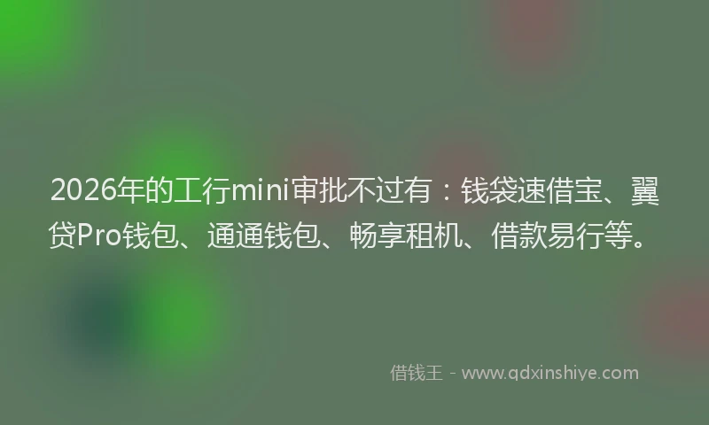 2026年的工行mini审批不过有：钱袋速借宝、翼贷Pro钱包、通通钱包、畅享租机、借款易行等。