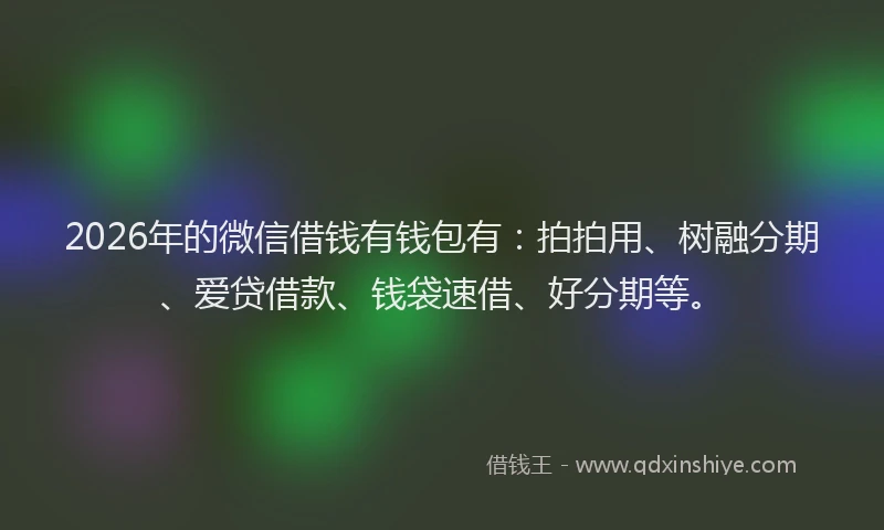 2026年的微信借钱有钱包有：拍拍用、树融分期、爱贷借款、钱袋速借、好分期等。