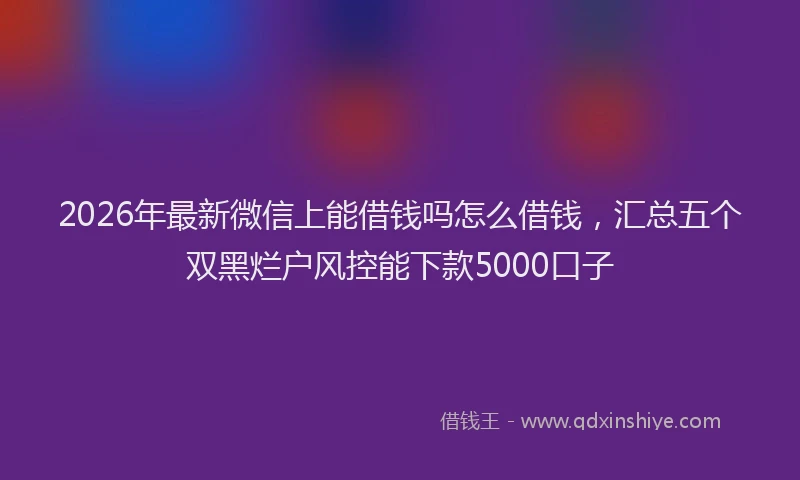 2026年最新微信上能借钱吗怎么借钱，汇总五个双黑烂户风控能下款5000口子