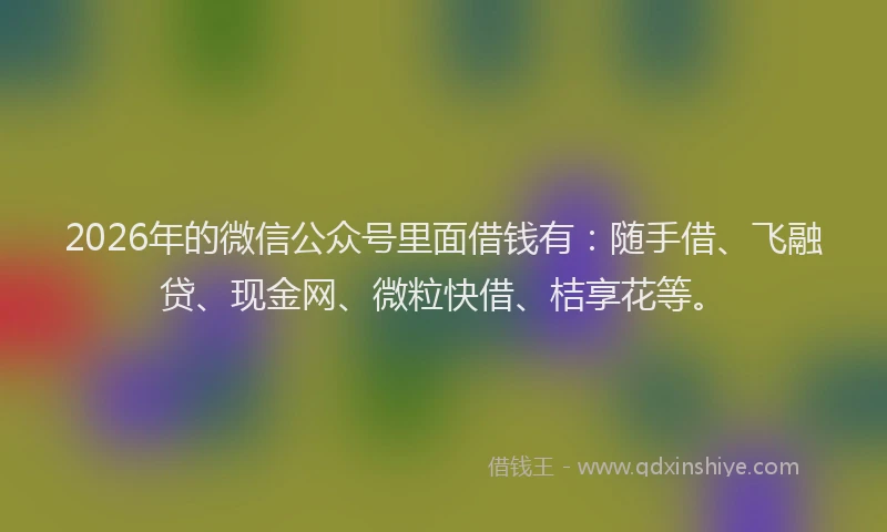 2026年的微信公众号里面借钱有：随手借、飞融贷、现金网、微粒快借、桔享花等。