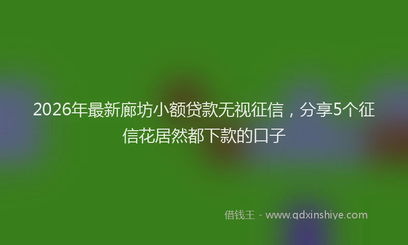 2026年最新廊坊小额贷款无视征信，分享5个征信花居然都下款的口子
