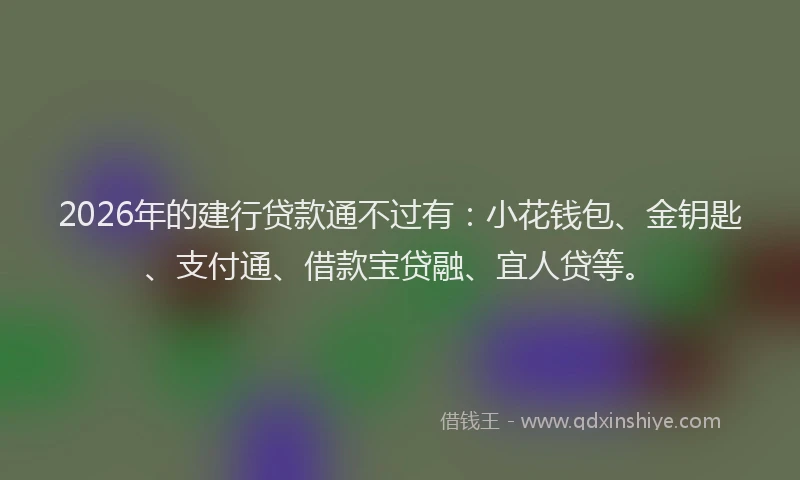 2026年的建行贷款通不过有：小花钱包、金钥匙、支付通、借款宝贷融、宜人贷等。