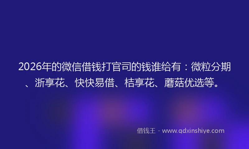 2026年的微信借钱打官司的钱谁给有：微粒分期、浙享花、快快易借、桔享花、蘑菇优选等。