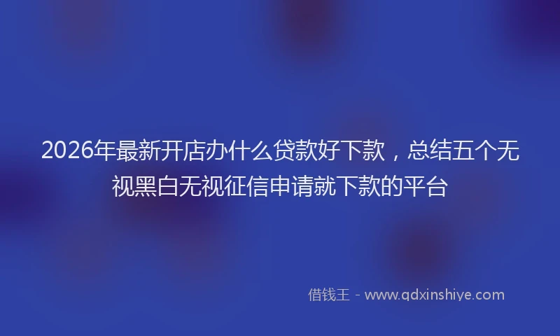 2026年最新开店办什么贷款好下款，总结五个无视黑白无视征信申请就下款的平台