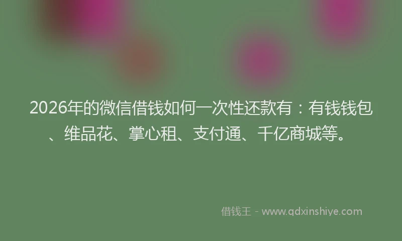 2026年的微信借钱如何一次性还款有：有钱钱包、维品花、掌心租、支付通、千亿商城等。