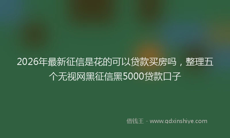 2026年最新征信是花的可以贷款买房吗，整理五个无视网黑征信黑5000贷款口子