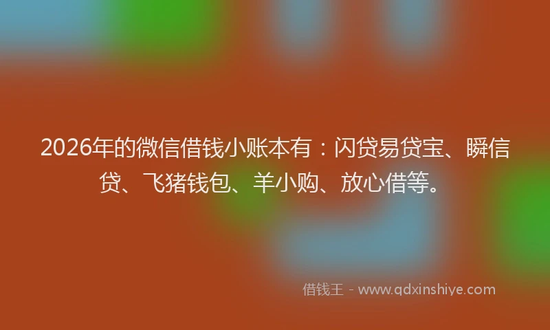 2026年的微信借钱小账本有：闪贷易贷宝、瞬信贷、飞猪钱包、羊小购、放心借等。