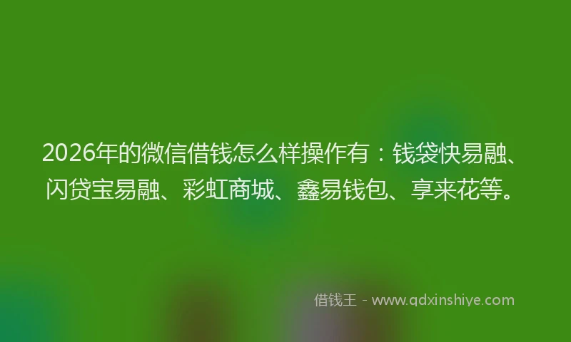 2026年的微信借钱怎么样操作有：钱袋快易融、闪贷宝易融、彩虹商城、鑫易钱包、享来花等。