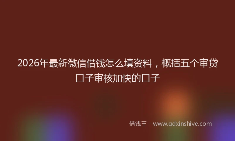 2026年最新微信借钱怎么填资料，概括五个审贷口子审核加快的口子