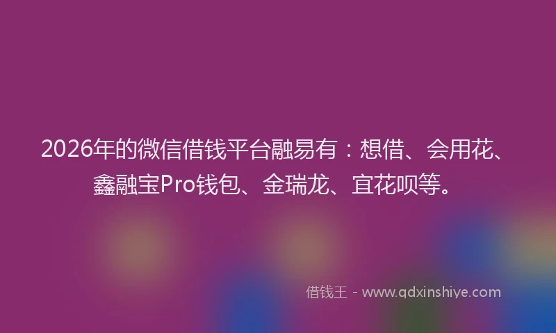 2026年的微信借钱平台融易有：想借、会用花、鑫融宝Pro钱包、金瑞龙、宜花呗等。