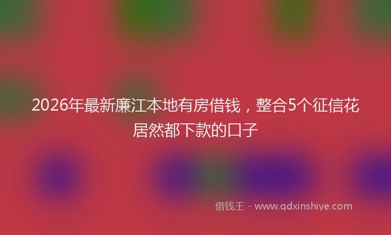 2026年最新廉江本地有房借钱，整合5个征信花居然都下款的口子