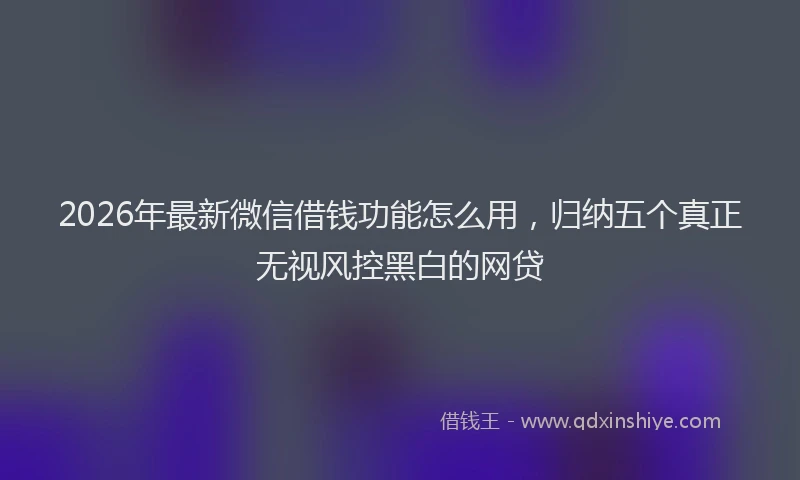 2026年最新微信借钱功能怎么用，归纳五个真正无视风控黑白的网贷