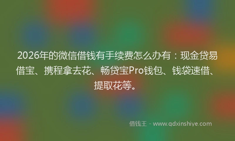 2026年的微信借钱有手续费怎么办有：现金贷易借宝、携程拿去花、畅贷宝Pro钱包、钱袋速借、提取花等。