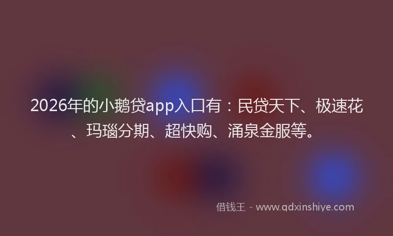 2026年的小鹅贷app入口有：民贷天下、极速花、玛瑙分期、超快购、涌泉金服等。