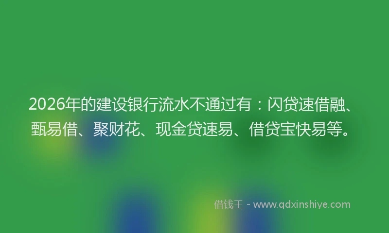 2026年的建设银行流水不通过有：闪贷速借融、甄易借、聚财花、现金贷速易、借贷宝快易等。