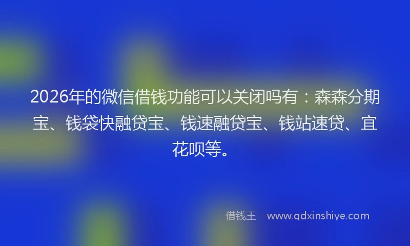 2026年的微信借钱功能可以关闭吗有：森森分期宝、钱袋快融贷宝、钱速融贷宝、钱站速贷、宜花呗等。